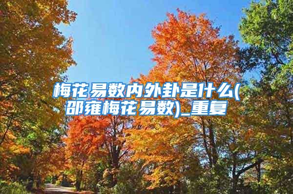 梅花易数内外卦是什么(邵雍梅花易数)_重复