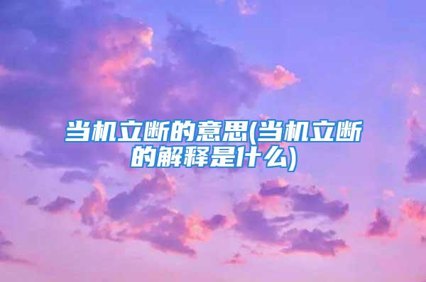 当机立断的意思(当机立断的解释是什么)