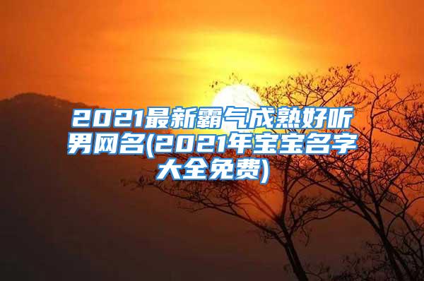 2021最新霸气成熟好听男网名(2021年宝宝名字大全免费)