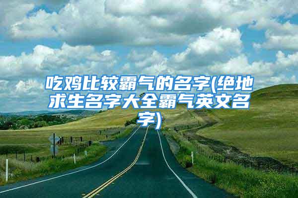 吃鸡比较霸气的名字(绝地求生名字大全霸气英文名字)