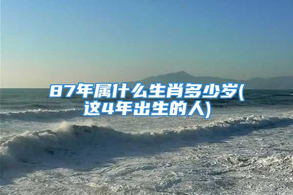 87年属什么生肖多少岁(这4年出生的人)