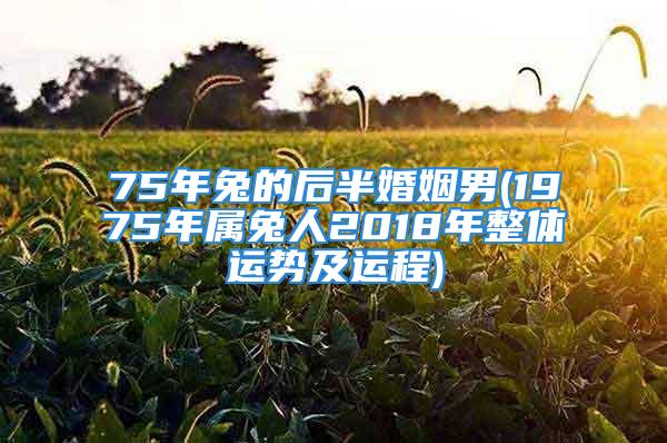 75年兔的后半婚姻男(1975年属兔人2018年整体运势及运程)