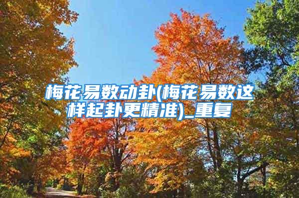 梅花易数动卦(梅花易数这样起卦更精准)_重复