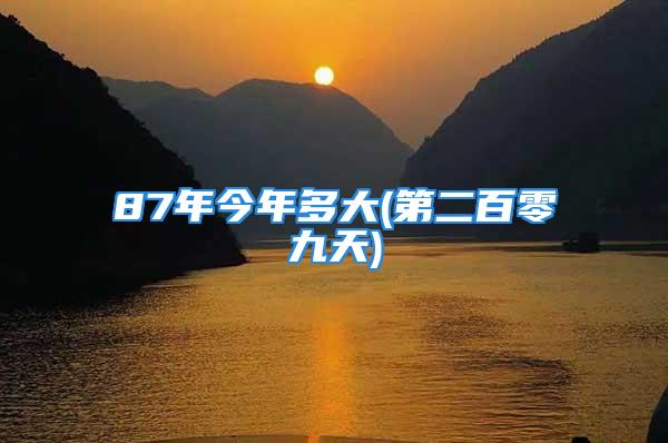 87年今年多大(第二百零九天)