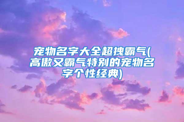 宠物名字大全超拽霸气(高傲又霸气特别的宠物名字个性经典)