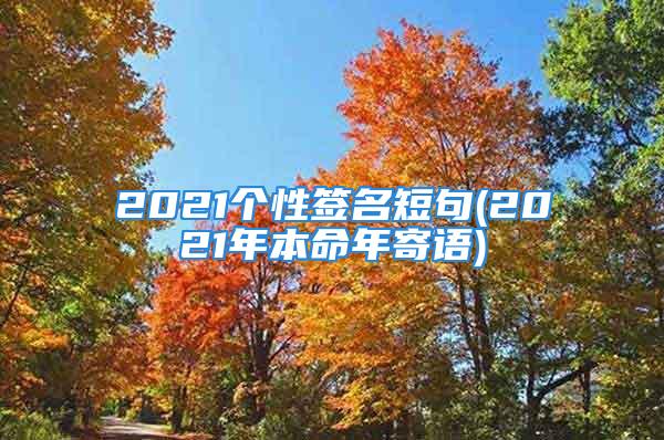 2021个性签名短句(2021年本命年寄语)