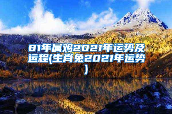 81年属鸡2021年运势及运程(生肖兔2021年运势)