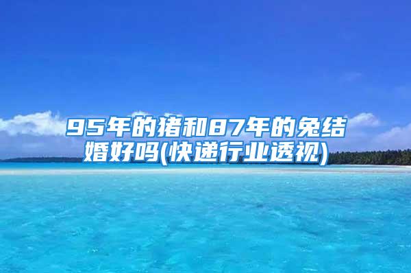 95年的猪和87年的兔结婚好吗(快递行业透视)