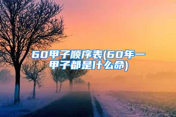 60甲子顺序表(60年一甲子都是什么命)