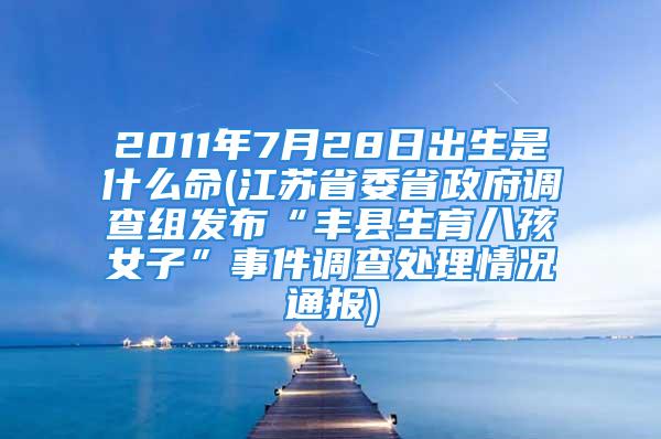 2011年7月28日出生是什么命(江苏省委省政府调查组发布“丰县生育八孩女子”事件调查处理情况通报)