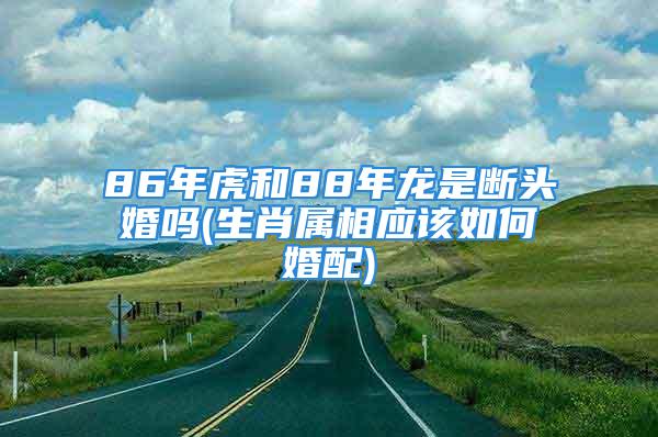 86年虎和88年龙是断头婚吗(生肖属相应该如何婚配)