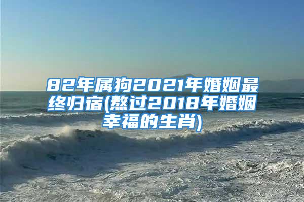 82年属狗2021年婚姻最终归宿(熬过2018年婚姻幸福的生肖)