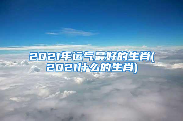 2021年运气最好的生肖(2021什么的生肖)