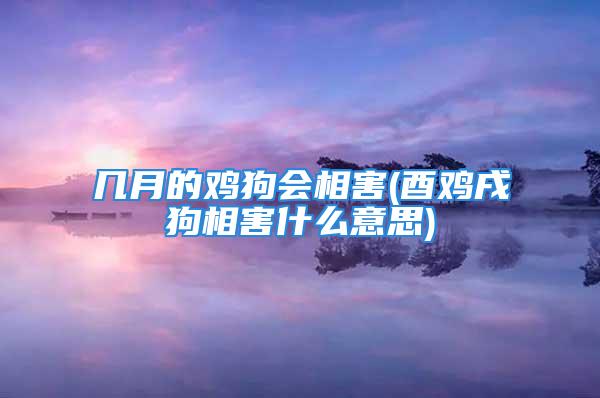 几月的鸡狗会相害(酉鸡戌狗相害什么意思)