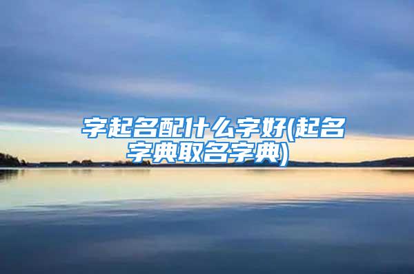 偲字起名配什么字好(起名字典取名字典)