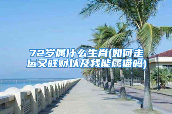 72岁属什么生肖(如何走运又旺财以及我能属猫吗)