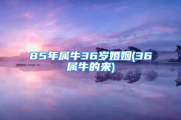 85年属牛36岁婚姻(36属牛的来)