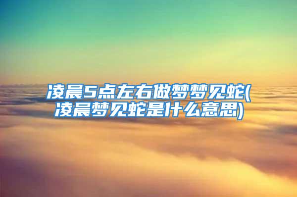 凌晨5点左右做梦梦见蛇(凌晨梦见蛇是什么意思)