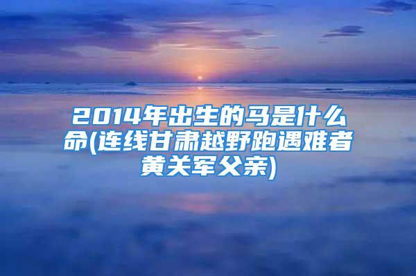 2014年出生的马是什么命(连线甘肃越野跑遇难者黄关军父亲)