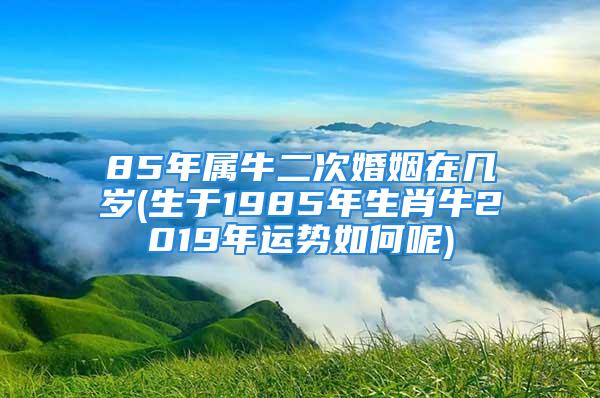 85年属牛二次婚姻在几岁(生于1985年生肖牛2019年运势如何呢)