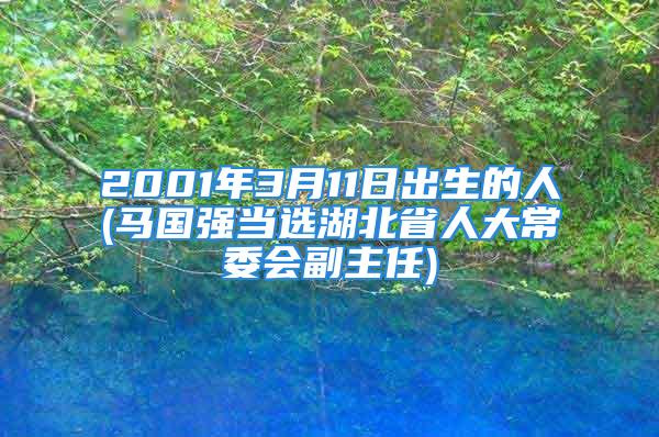 2001年3月11日出生的人(马国强当选湖北省人大常委会副主任)