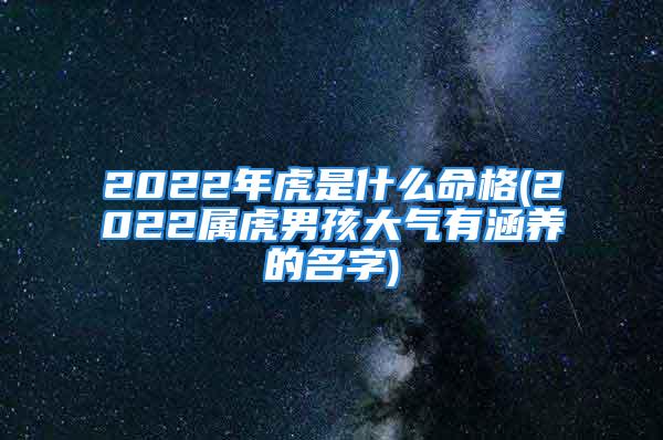 2022年虎是什么命格(2022属虎男孩大气有涵养的名字)