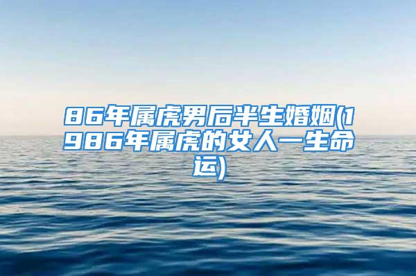 86年属虎男后半生婚姻(1986年属虎的女人一生命运)