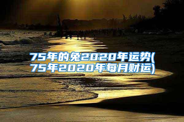 75年的兔2020年运势(75年2020年每月财运)