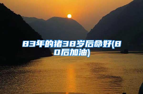 83年的猪38岁后命好(80后加油)