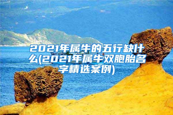 2021年属牛的五行缺什么(2021年属牛双胞胎名字精选案例)