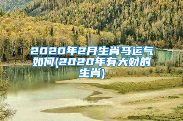 2020年2月生肖马运气如何(2020年有大财的生肖)