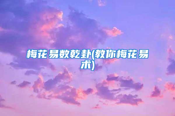 梅花易数乾卦(教你梅花易术)