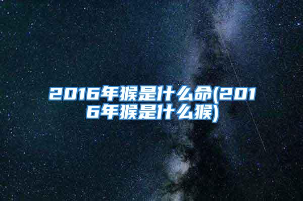 2016年猴是什么命(2016年猴是什么猴)