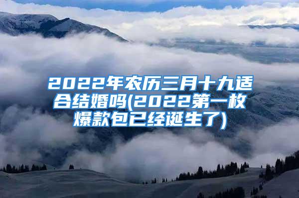 2022年农历三月十九适合结婚吗(2022第一枚爆款包已经诞生了)