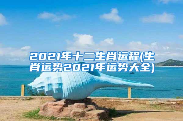 2021年十二生肖运程(生肖运势2021年运势大全)