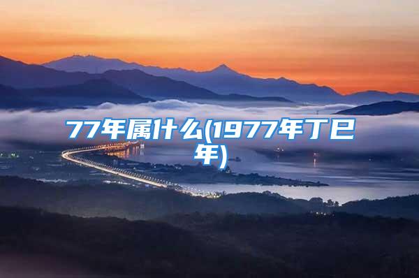 77年属什么(1977年丁巳年)