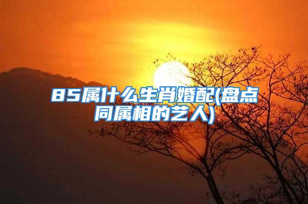 85属什么生肖婚配(盘点同属相的艺人)