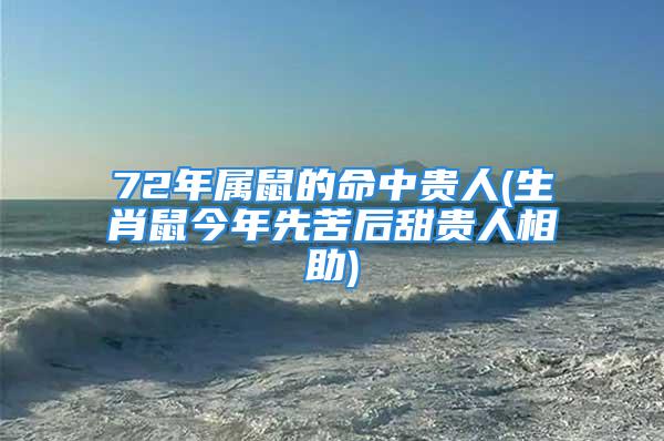 72年属鼠的命中贵人(生肖鼠今年先苦后甜贵人相助)