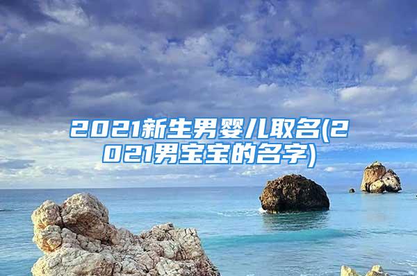 2021新生男婴儿取名(2021男宝宝的名字)