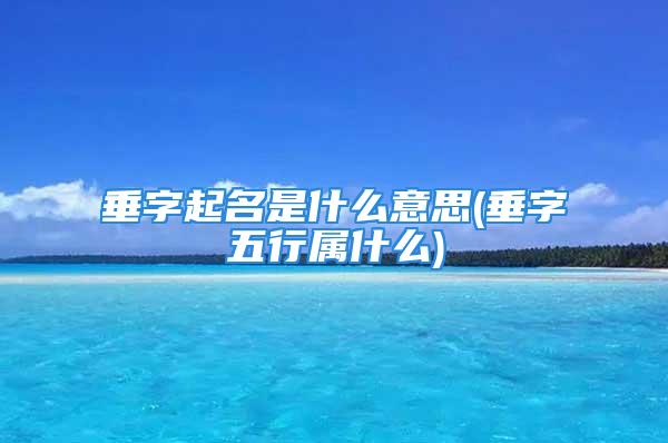 垂字起名是什么意思(垂字五行属什么)