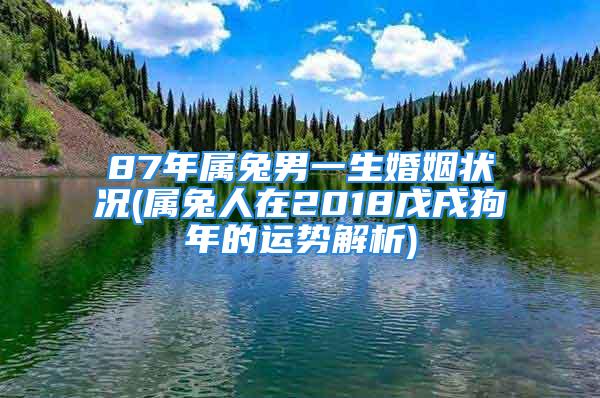 87年属兔男一生婚姻状况(属兔人在2018戊戌狗年的运势解析)