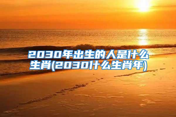 2030年出生的人是什么生肖(2030什么生肖年)