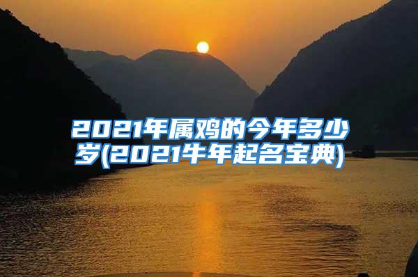 2021年属鸡的今年多少岁(2021牛年起名宝典)