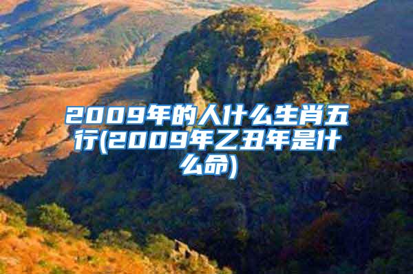 2009年的人什么生肖五行(2009年乙丑年是什么命)