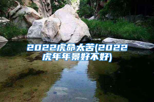 2022虎命太苦(2022虎年年景好不好)