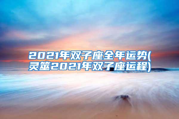 2021年双子座全年运势(灵筮2021年双子座运程)