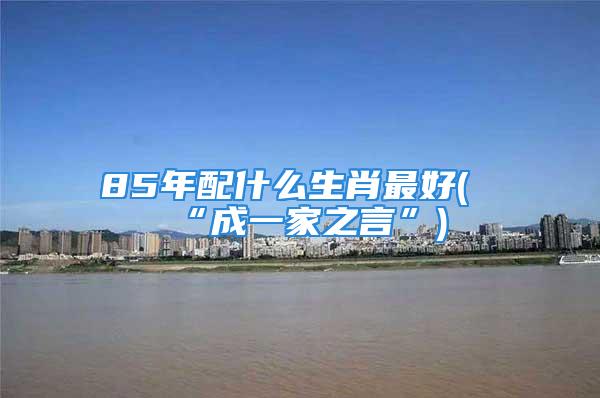 85年配什么生肖最好(“成一家之言”)