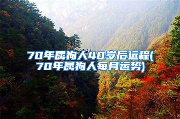 70年属狗人40岁后运程(70年属狗人每月运势)