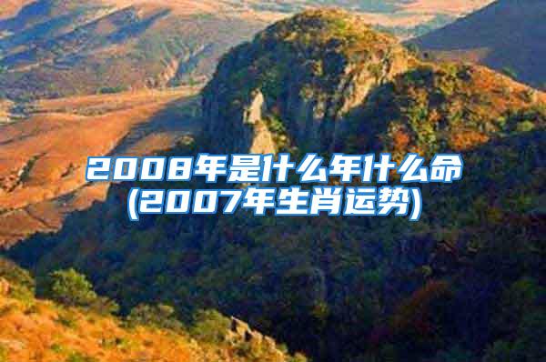 2008年是什么年什么命(2007年生肖运势)