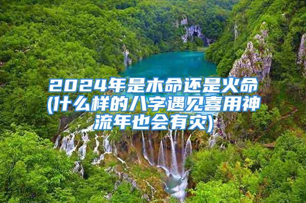 2024年是木命还是火命(什么样的八字遇见喜用神流年也会有灾)